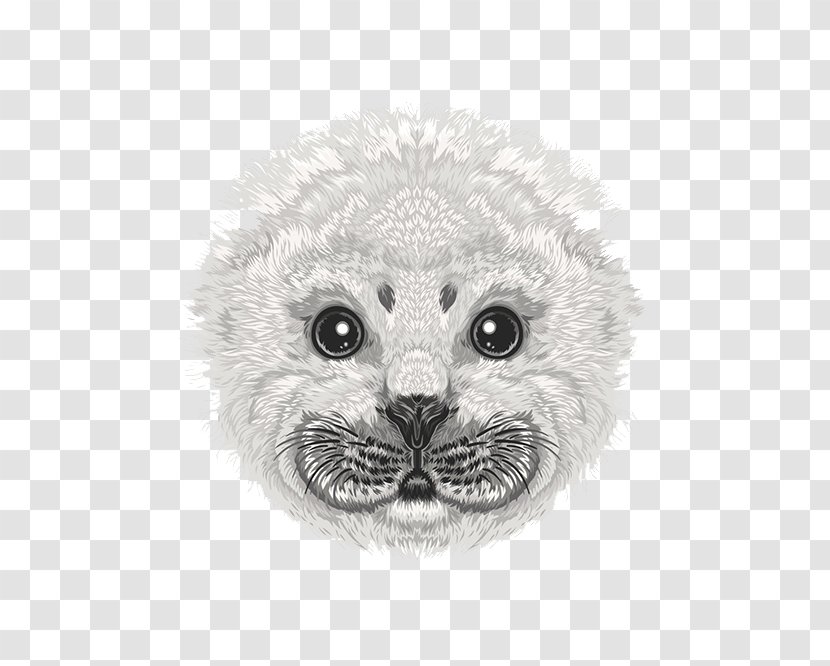 Whiskers Earless Seal Drawing Illustration - Erinaceidae - Exquisite Hand-painted Avatar Transparent PNG