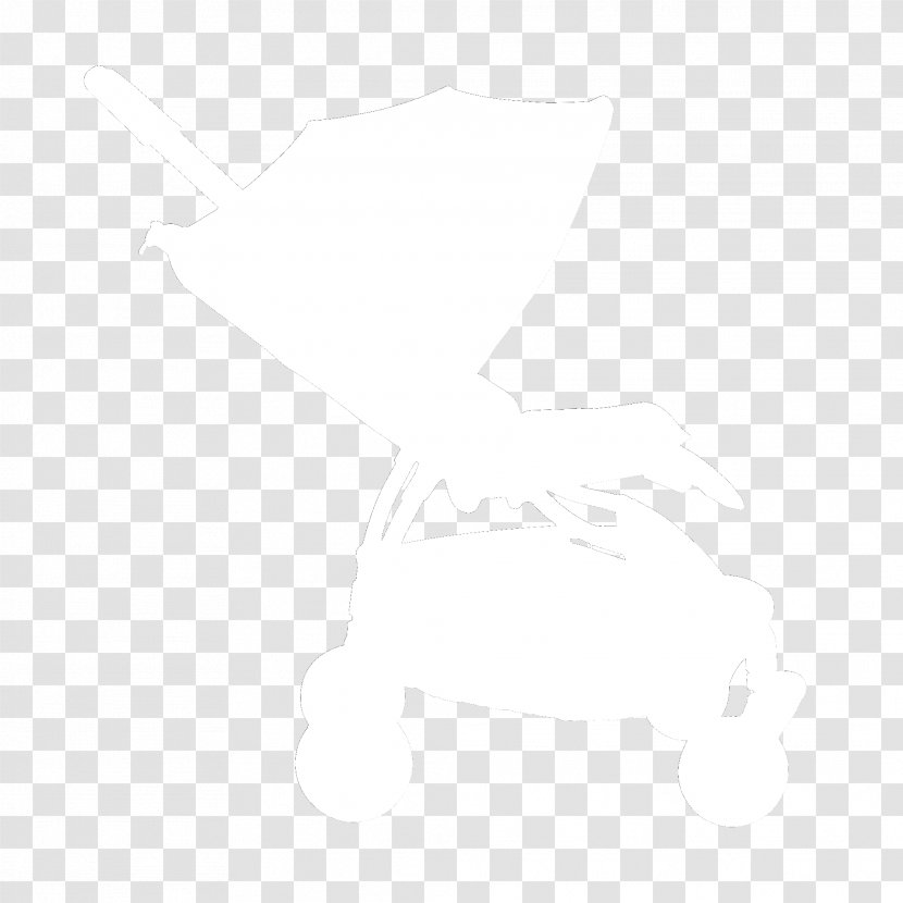 Drawing White Line - Monochrome Photography Transparent PNG