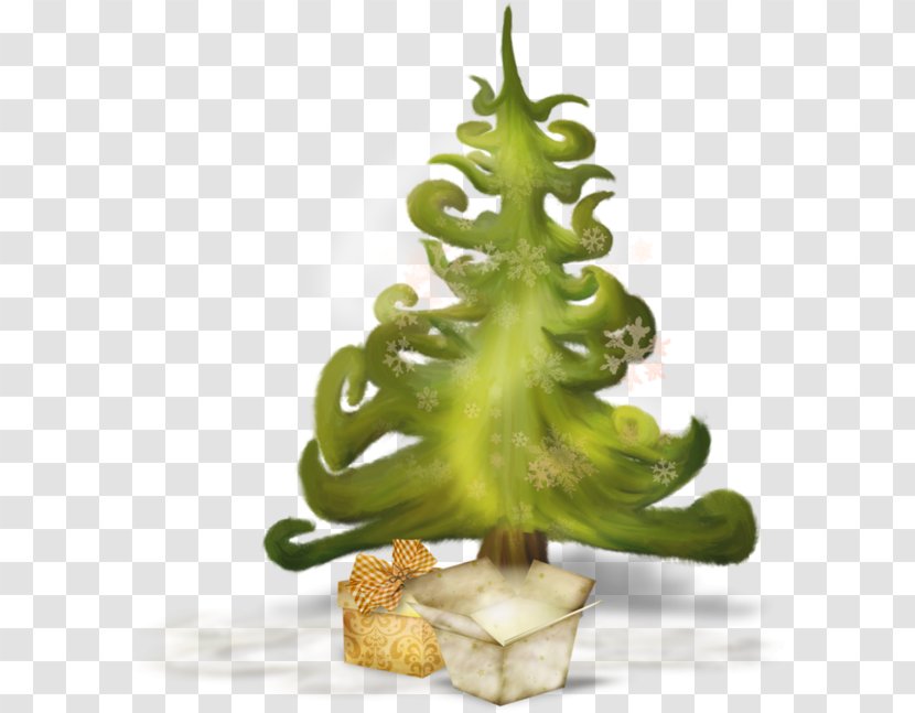 Christmas Plant Winter Transparent PNG