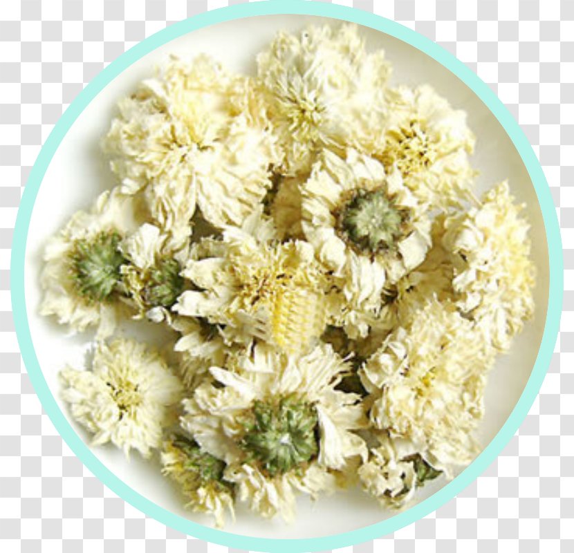 Chrysanthemum Tea Flowering ×grandiflorum - Plant Transparent PNG