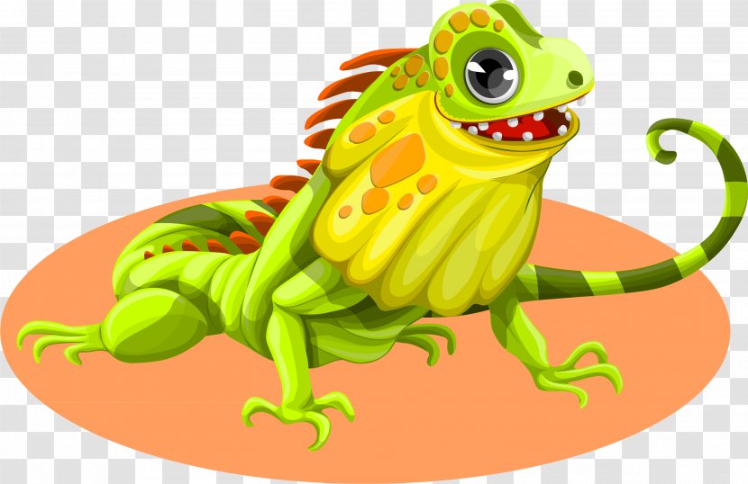 Green Iguana Lizard Reptile Clip Art - Iguanidae - Cartoon Vector Transparent PNG