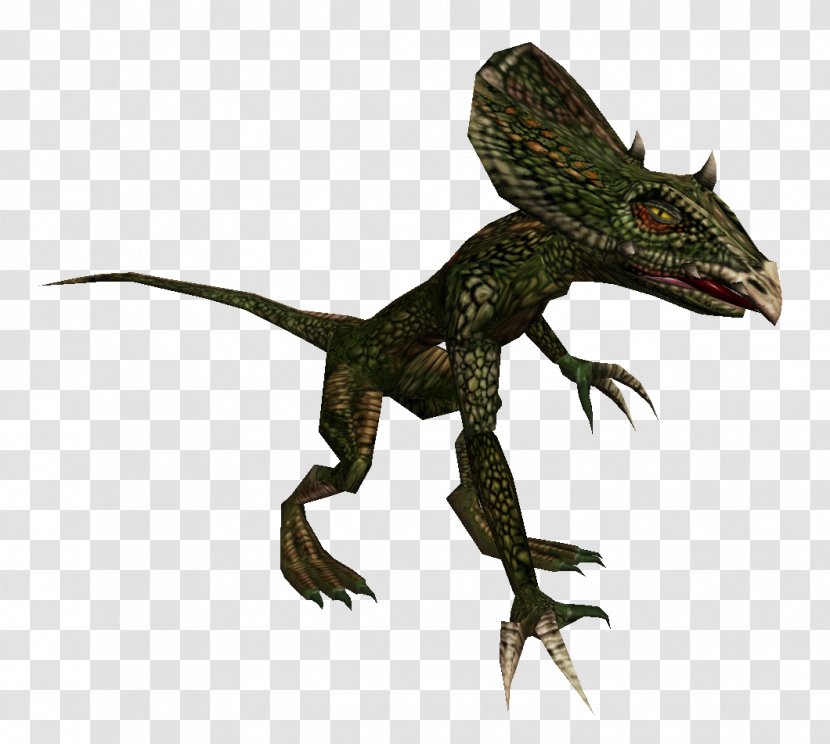 Dragon Lizards Velociraptor Fauna Terrestrial Animal - Lizard Transparent PNG