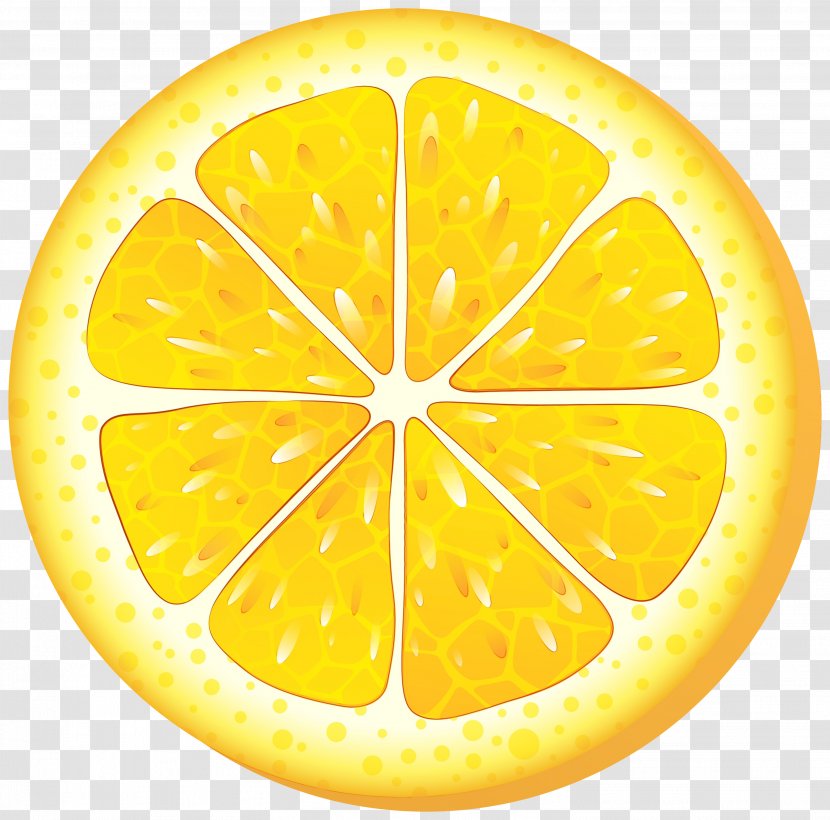 Lemon Slice - Kumquat - Meyer Lime Transparent PNG