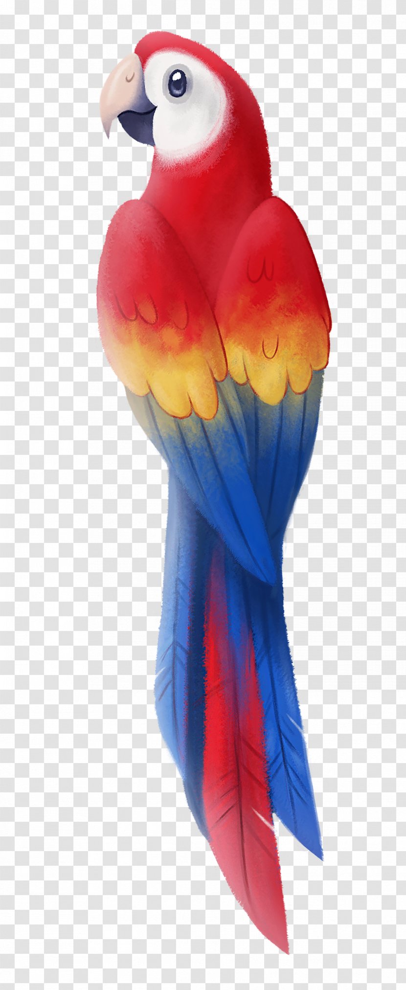 Budgerigar Scarlet Macaw Lovebird Illustration - Hummingbird Cartoon Parrot Transparent PNG