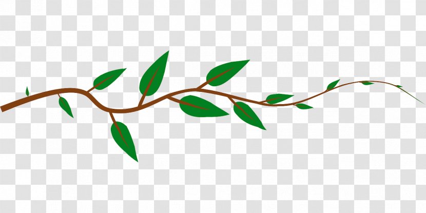 Vine Clip Art - Ivy - Leaf Transparent PNG