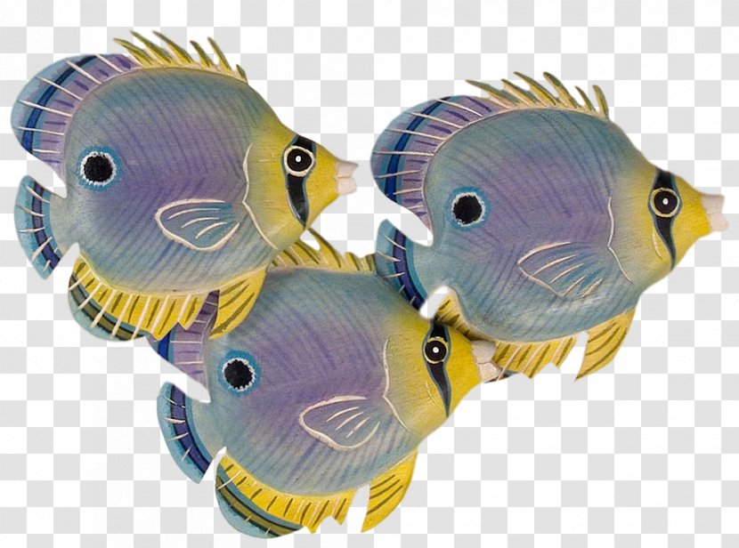Coral Reef Fish Marine Biology Fauna - Feather Transparent PNG