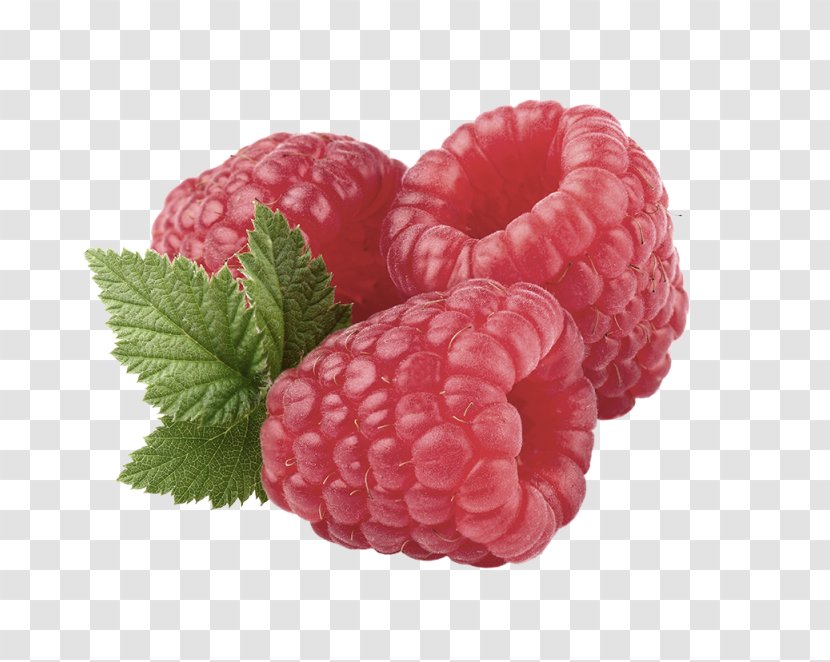 Red Raspberry Stock Photography Clip Art Transparent PNG