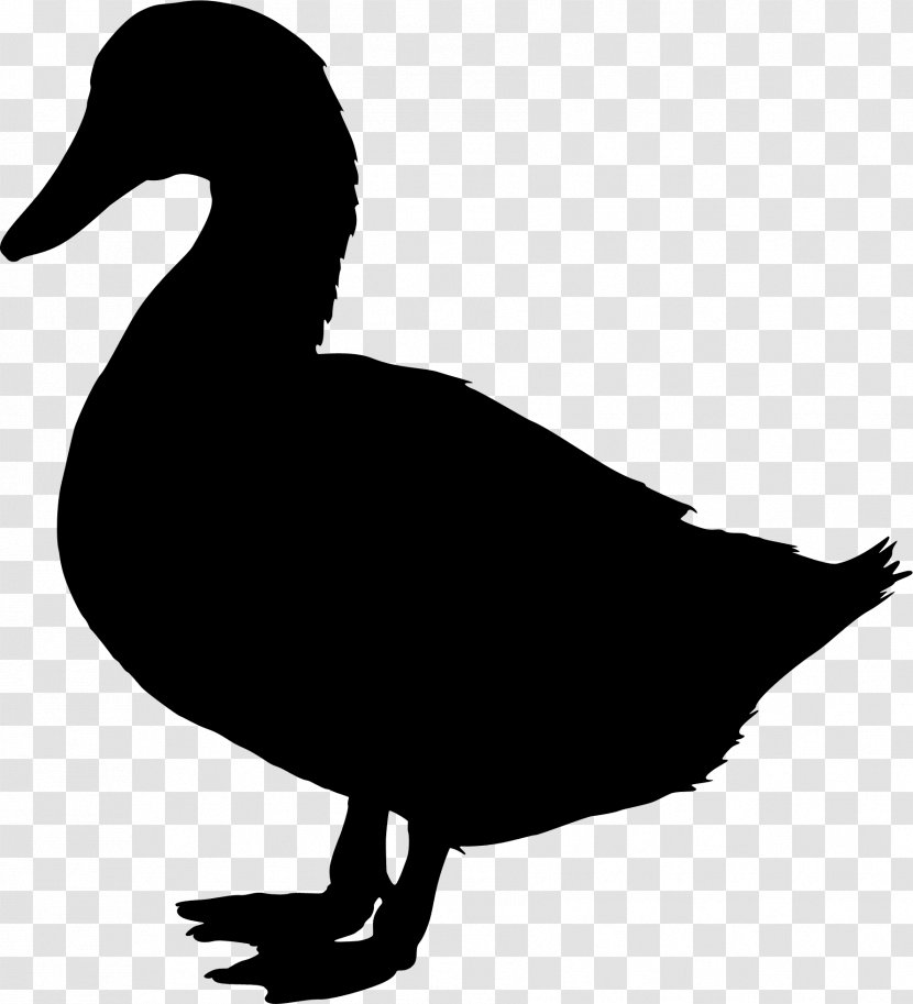 Duck Clip Art Vector Graphics Image - Waterfowl - Water Bird Transparent PNG