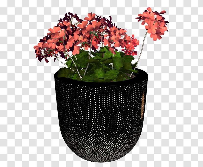 Flowerpot Houseplant Cut Flowers Diary - Liveinternet - Flower Transparent PNG
