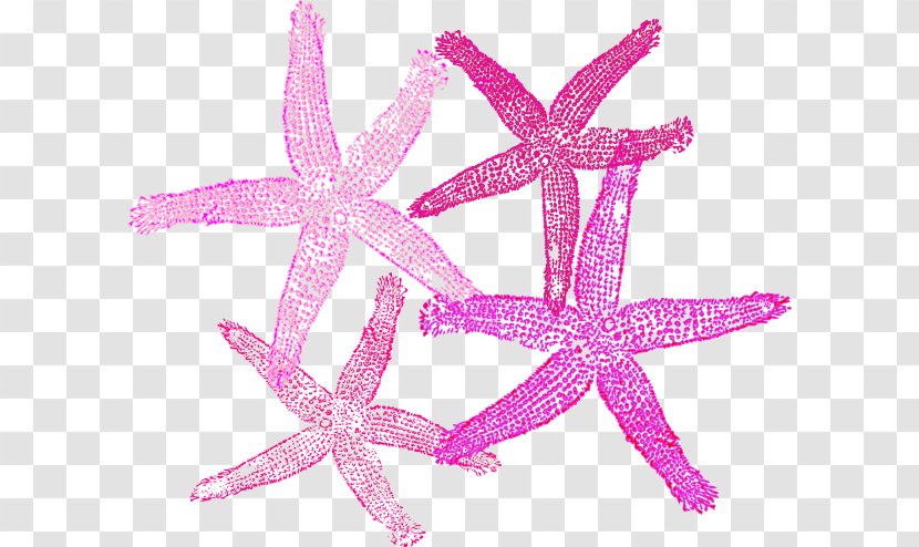 Starfish Royalty-free Clip Art - Cartoon - Pink Transparent PNG
