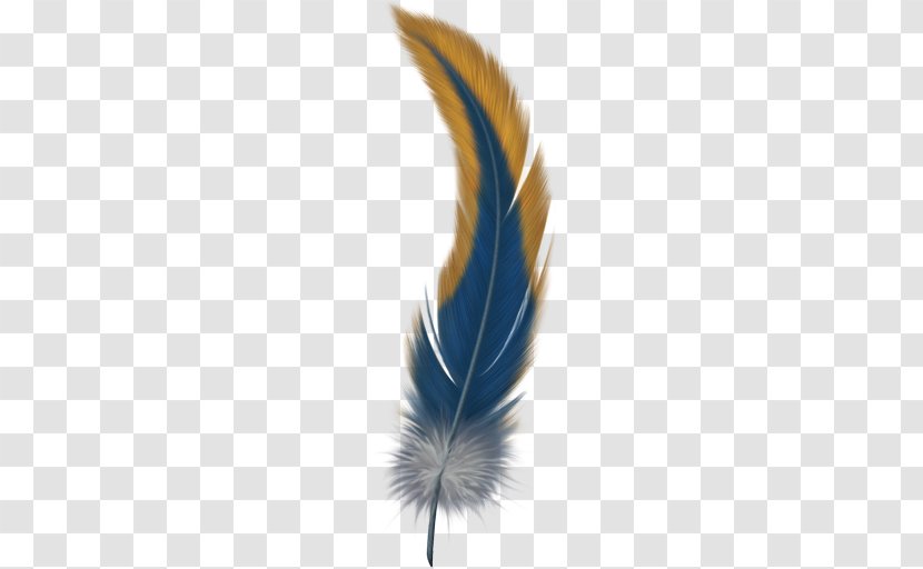 Bird Feather Clip Art - Peafowl Transparent PNG