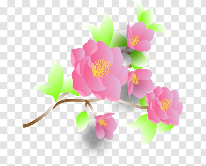 Flower Petal Cartoon - Floral Design - 420 Day Transparent PNG