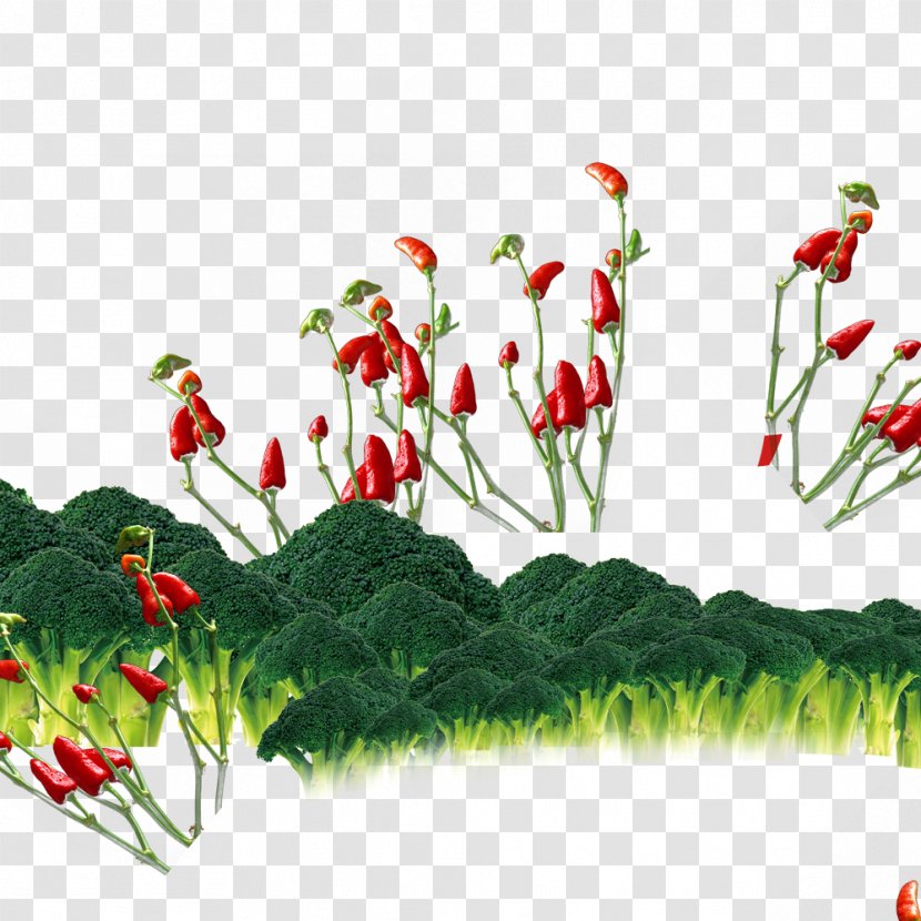 Floral Design Cut Flowers Branch Petal - Grass - Peppers And Cauliflower Transparent PNG