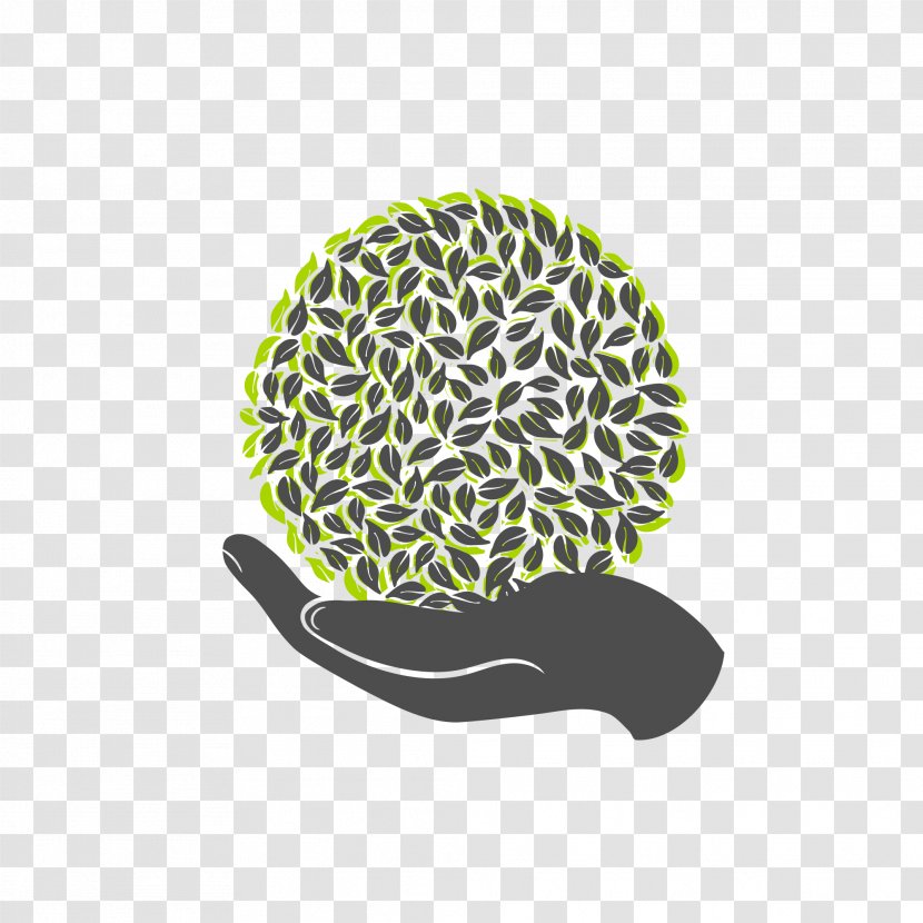 Tree Trunk Logo Clip Art - Organism - Commercial Use Transparent PNG