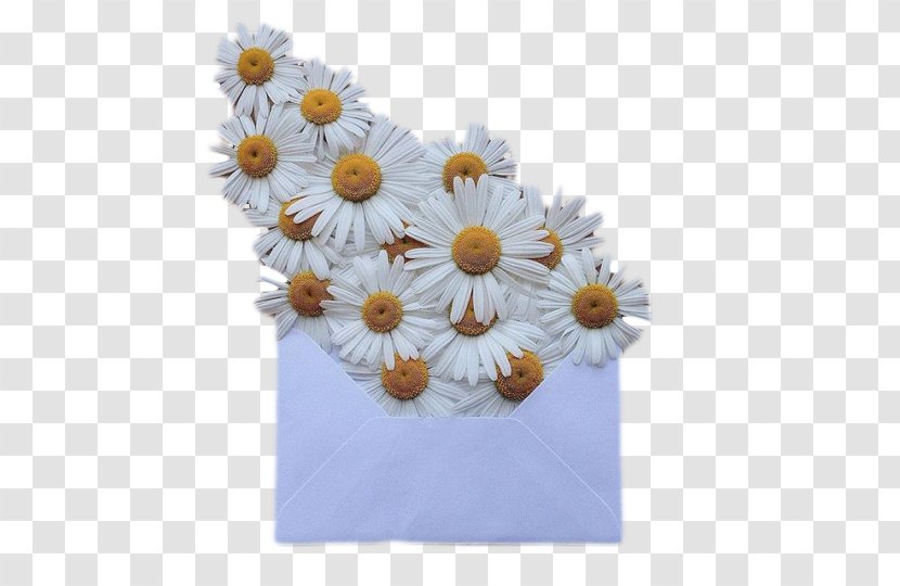 Wedding Invitation Flower Bouquet Envelope Paper - Proflowers - Textile Transparent PNG