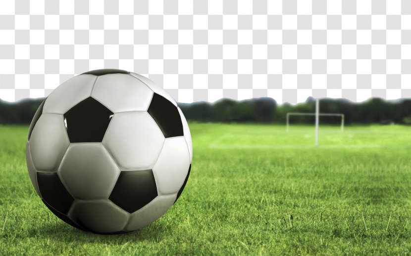 Football Pitch 4K Resolution Wallpaper - Alignment Goal Transparent PNG