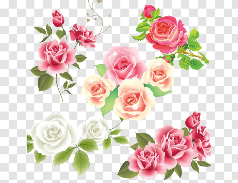 Vector Graphics Rose Flower Clip Art - Arranging - Vintage Card Pink Transparent PNG