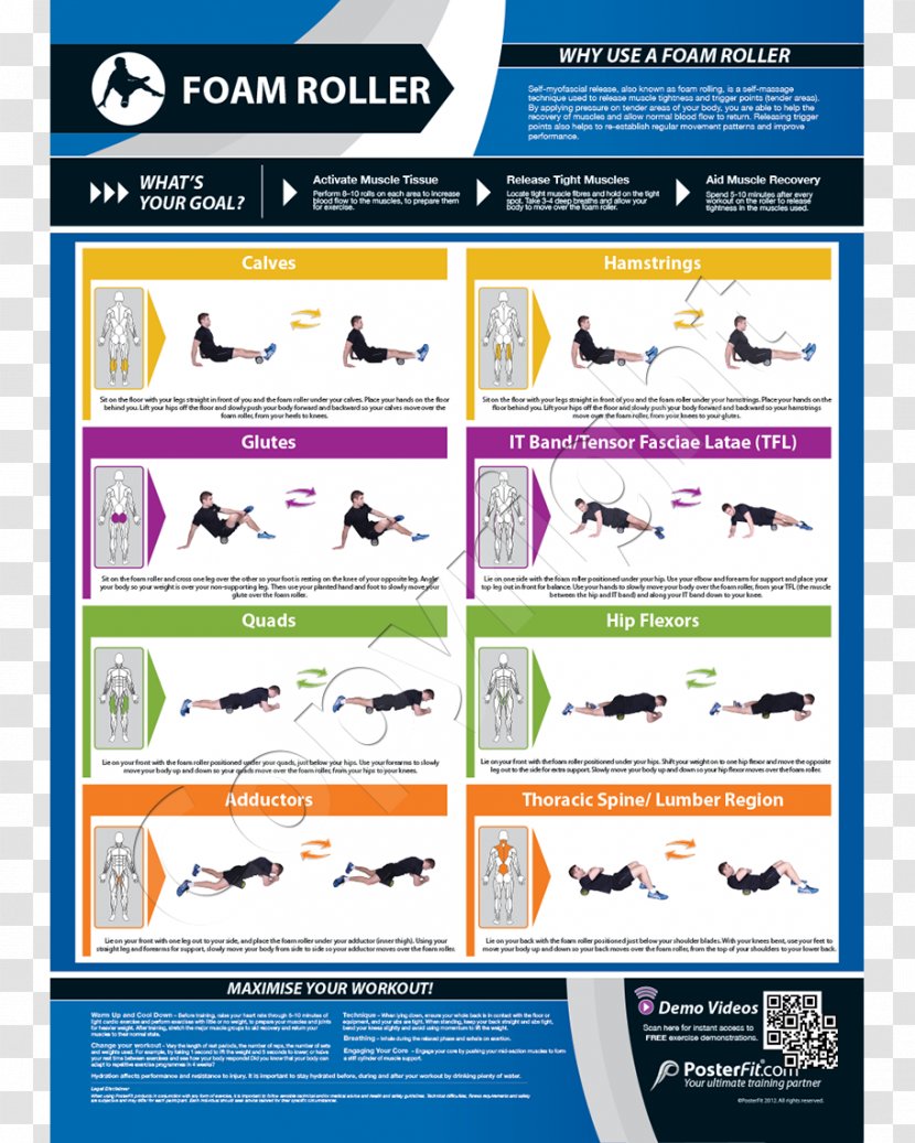 Core Abdominal Exercise Poster Physical Fitness - Web Page - Medicine Frame Transparent PNG