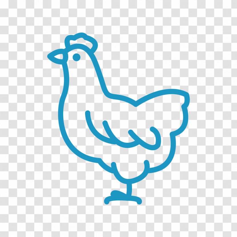 Rooster Chicken - Galliformes Transparent PNG