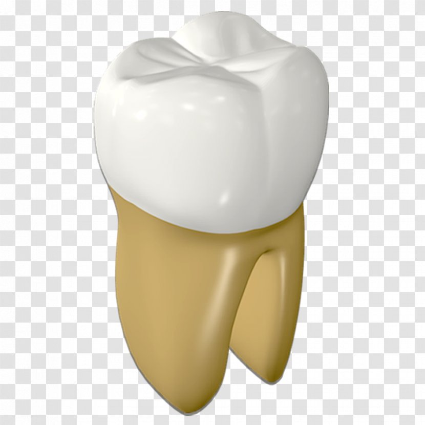 Tooth Human Mouth - Flower - Strong Teeth Transparent PNG
