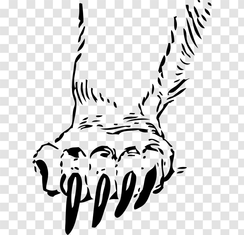Bear Claw Tiger Paw Clip Art - Carnivoran - Hand-drawn Clipart Transparent PNG