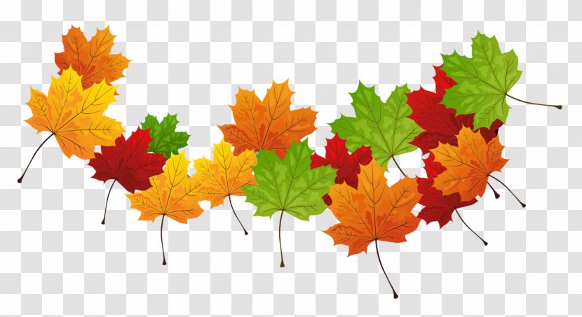 Autumn Leaf Color Leaves - Green - Invitation Card Transparent PNG