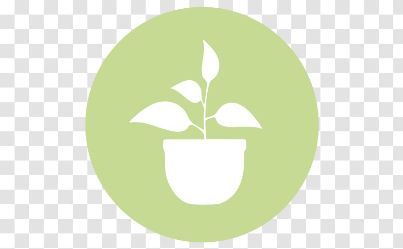 Montgomery Garden Plant Landscape Design - Acer Palmatum Thunb Transparent PNG
