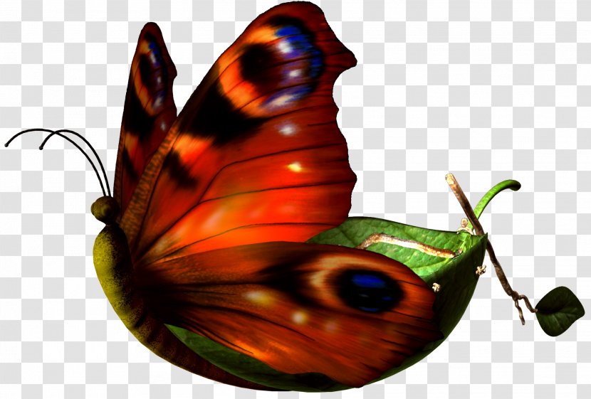 Monarch Butterfly Clip Art - Brush Footed - Butterflies Transparent PNG