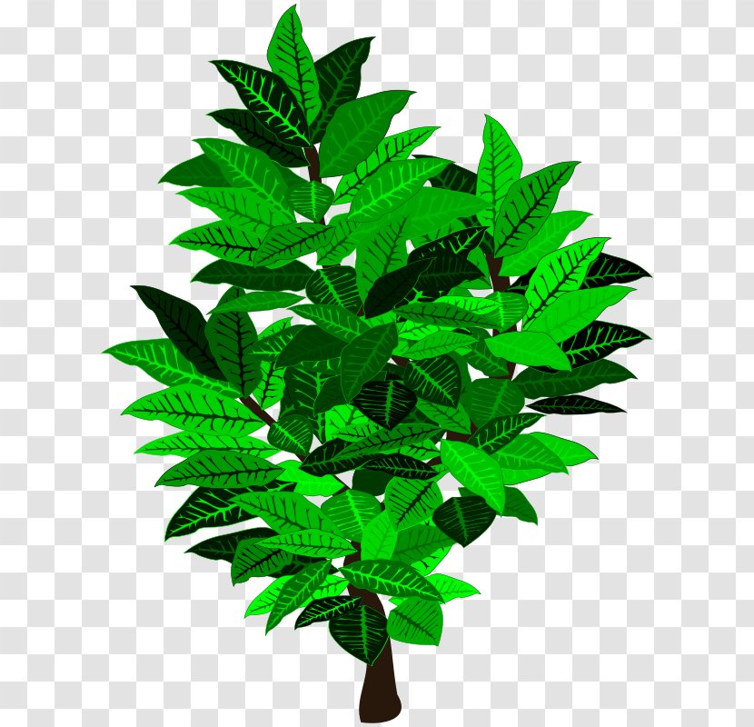 Flowerpot Houseplant Tree Shrub - Leaf - Love Transparent PNG