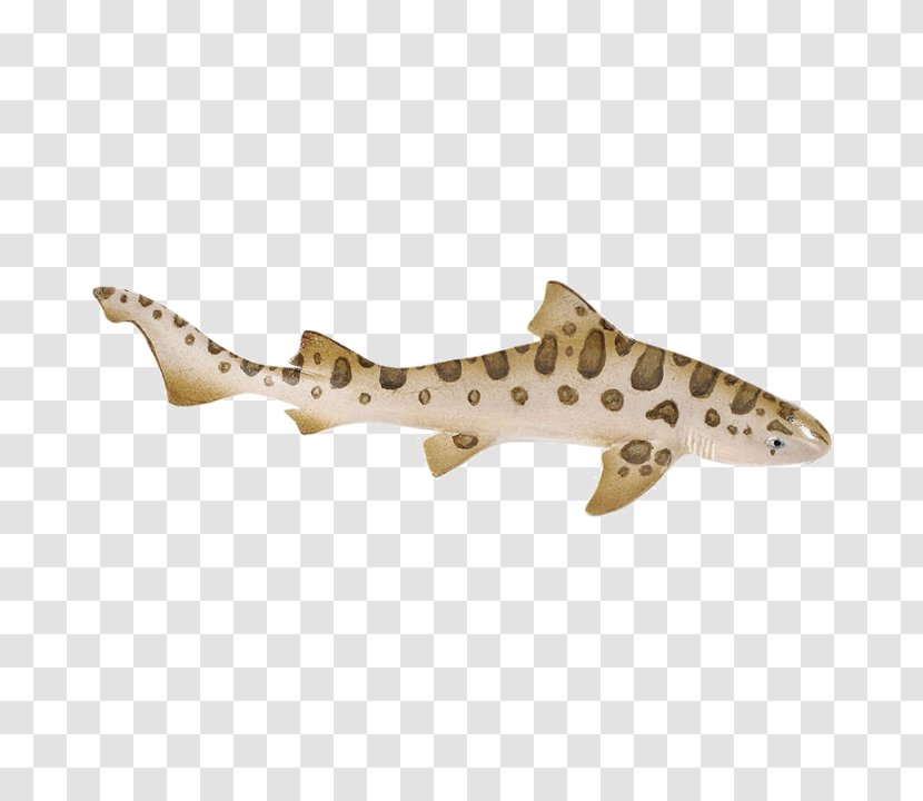 Leopard Shark Safari Ltd Cartilaginous Fishes Zebra - Animal Transparent PNG