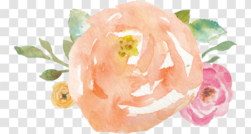 Garden Roses Transparent PNG