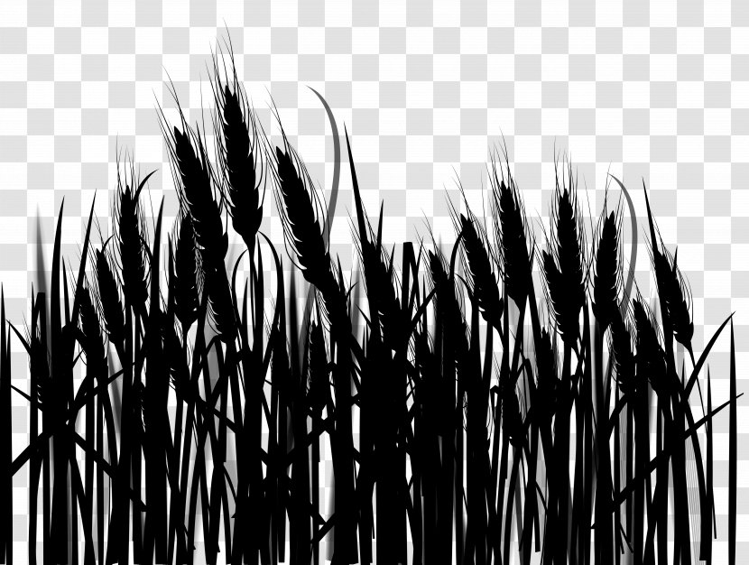 Commodity Grasses Tree - Blackandwhite Transparent PNG