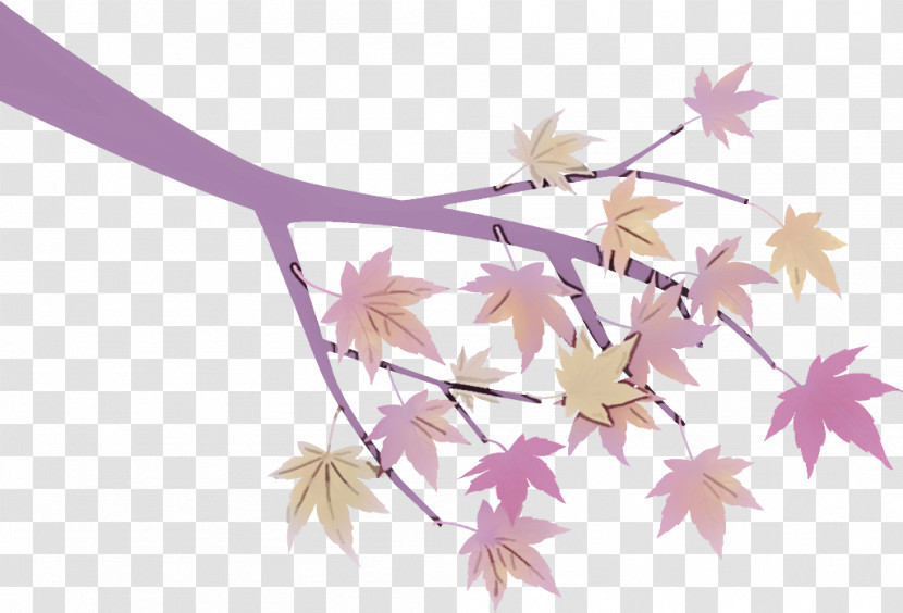 Maple Tree Branch Maple Tree Autumn Transparent PNG