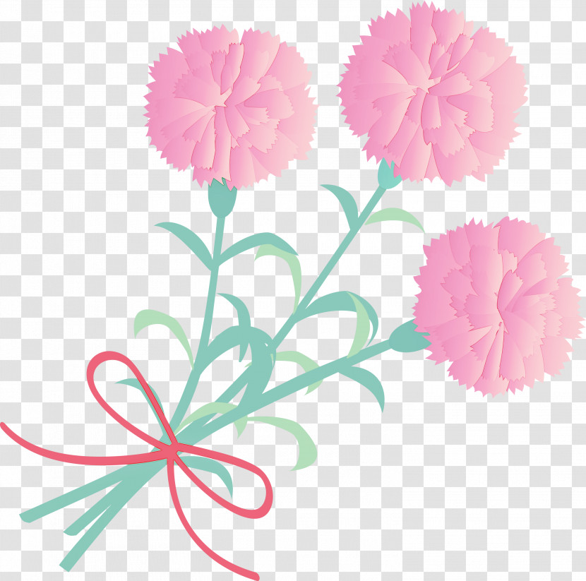 Mothers Day Carnation Mothers Day Flower Transparent PNG