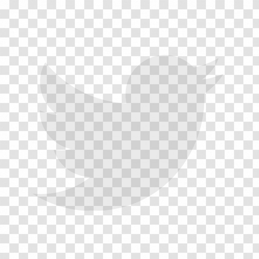 Water Bird Beak Feather White - Copywriting Background Transparent PNG