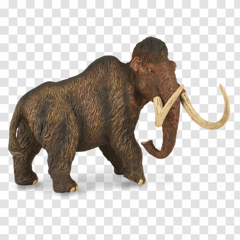 Collecta Woolly Mammoths - Mammoth - Deluxe 1:20 CollectA Toy Dinosaur Steppe MammothDinosaur Transparent PNG