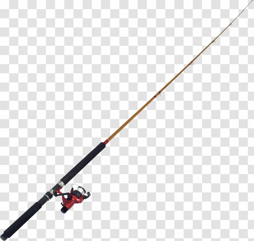Fishing Reels Rods Outdoor Recreation Sporting Goods - Fisherman Transparent PNG