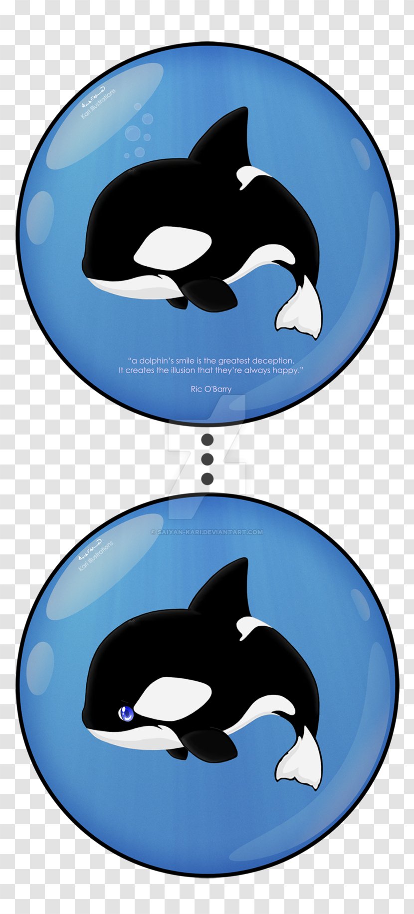 Killer Whale Dolphin Cetacea Clip Art - Mammal Transparent PNG