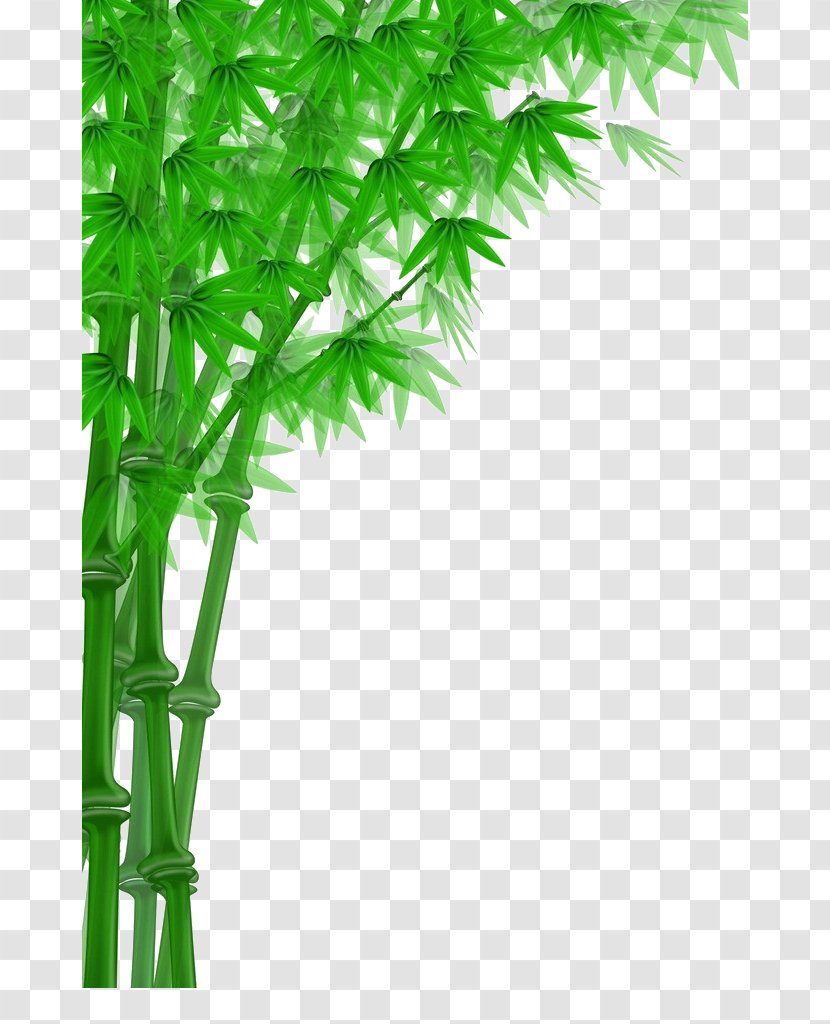 Bamboo Chopsticks Download - Leaf - Cartoon Vector Image,Cartoon Fresh Transparent PNG