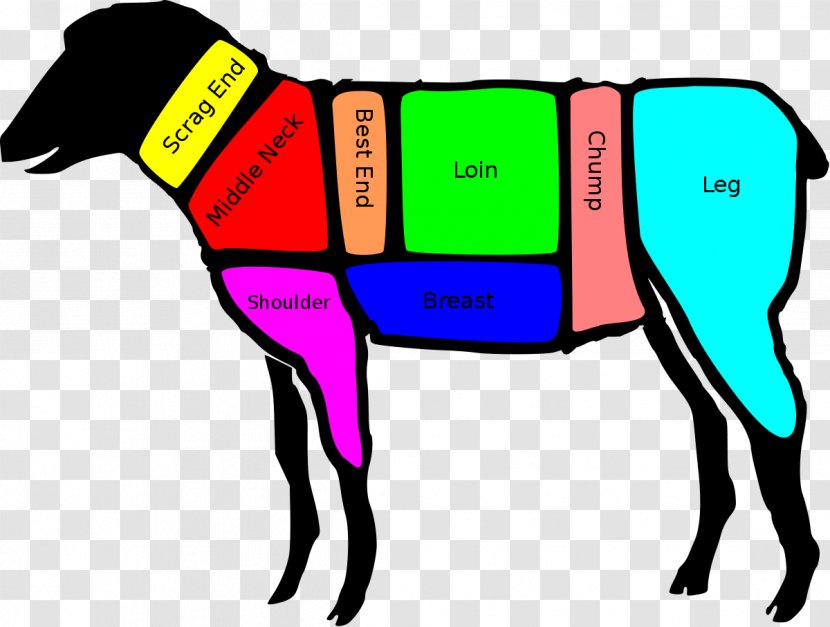 Sheep Lamb And Mutton Primal Cut Of Beef Shank Transparent PNG