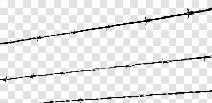 The Holocaust Kristallnacht Barbed Wire Fence - Watercolor - Barbwire Transparent PNG