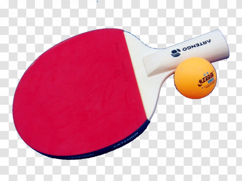 Table Tennis Racket - Paddle - Ping Pong Transparent PNG