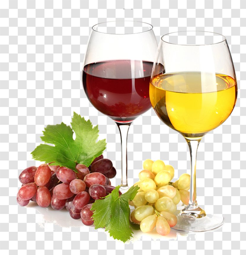 Red Wine Beer Common Grape Vine - Food - Vector Transparent PNG