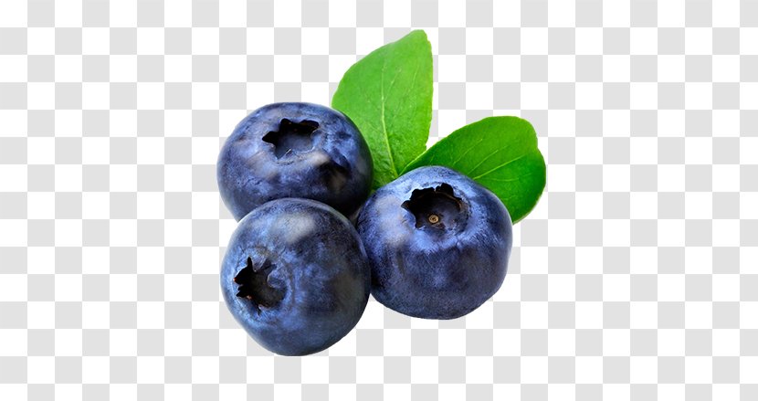 Blueberry Muffin Fruit Food - Nutrition Transparent PNG