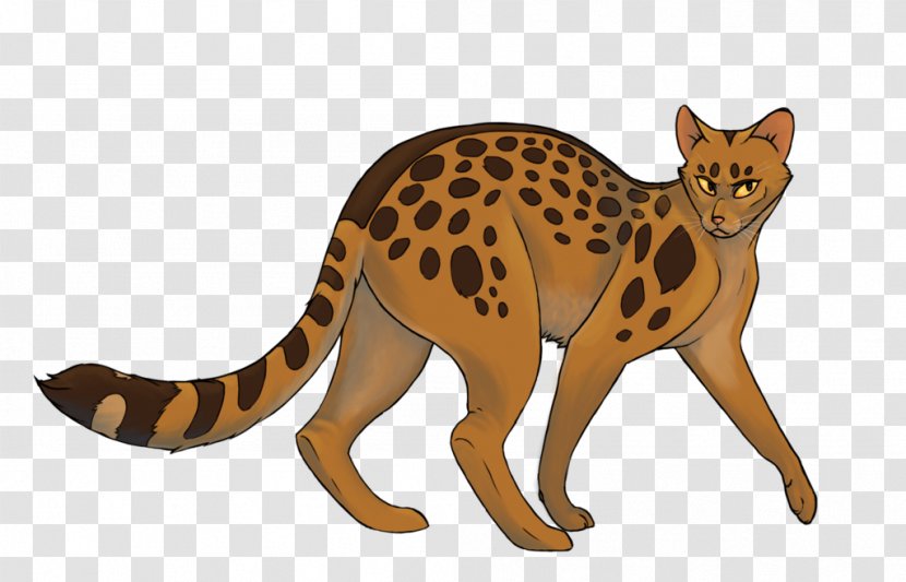 Warriors Leopardstar Whiskers Erin Hunter - Leopard Cat Transparent PNG