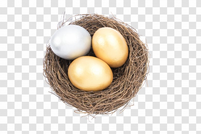 Bird Nest Egg Transparent PNG
