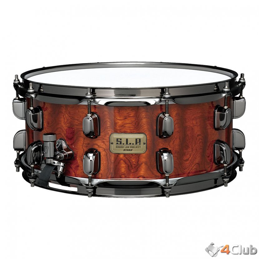 Tama Drums Snare Guibourtia Musical Instruments - Frame - Drum Transparent PNG