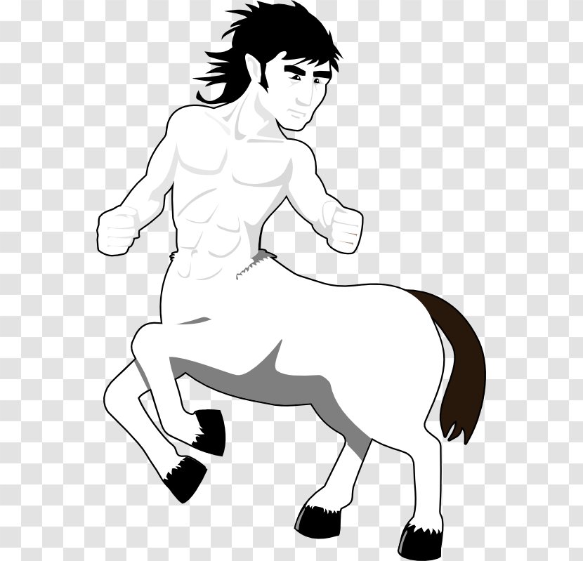 Mustang Mane Pony Homo Sapiens Clip Art - Frame - Centaur Cliparts Transparent PNG