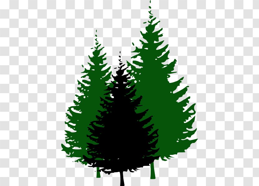 Evergreen Pine Tree Clip Art - Woody Plant - Cliparts Transparent PNG