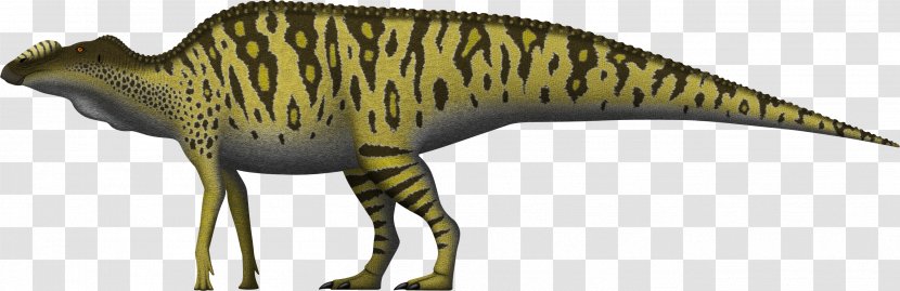 Edmontosaurus Annectens Maiasaura Hadrosaurus Dinosaur - Hadrosaurid Transparent PNG